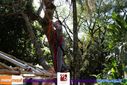 08-08-2015_trilha_fogo_157.jpg