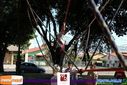 08-08-2015_trilha_fogo_160.jpg