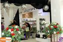 IMG_3729.jpg