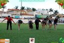 IMG_0333.jpg