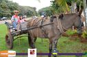 07-06-2015_expoasa_003.jpg