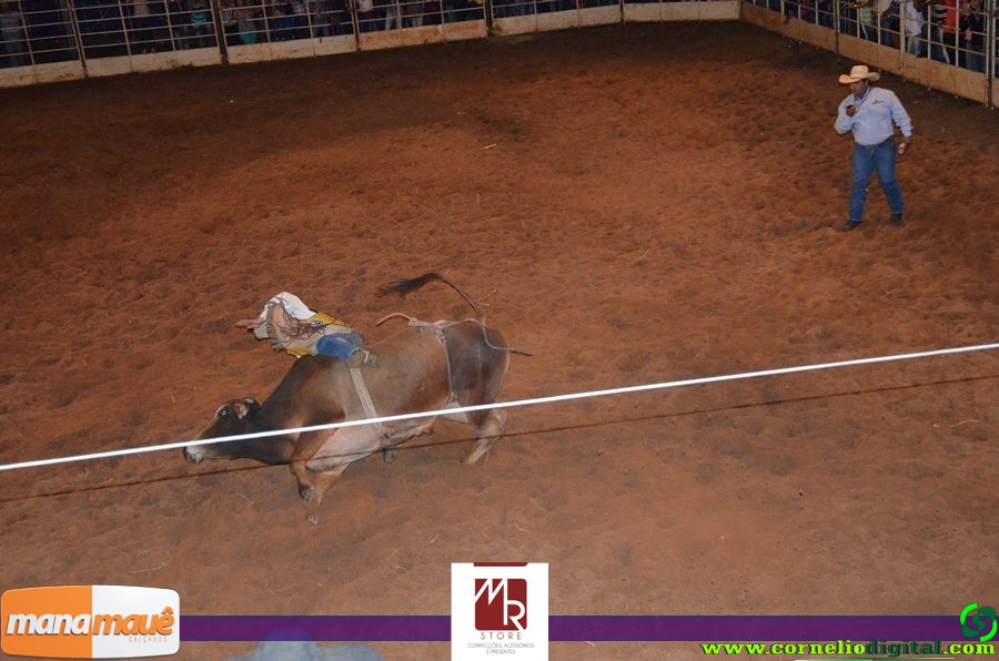 14-06-2015_expoasa_final_rodeio_002.jpg