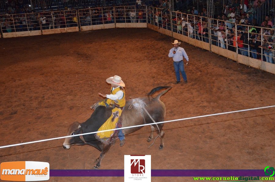 14-06-2015_expoasa_final_rodeio_027.jpg