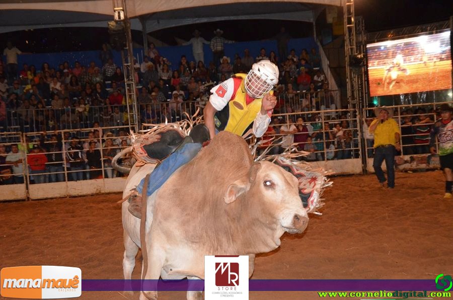 14-06-2015_expoasa_final_rodeio_049.jpg