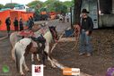 IMG_3618.jpg