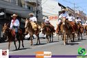 IMG_5252.jpg
