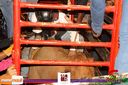 IMG_0971.jpg