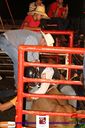 IMG_0975.jpg