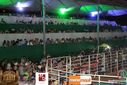 IMG_3599.jpg