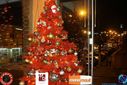 IMG_6902.jpg