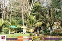 DSC07955.jpg