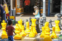 IMG_6434.jpg