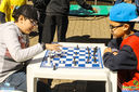 IMG_8576.jpg