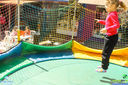 IMG_8716.jpg
