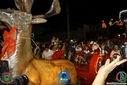 IMG_5212.jpg