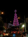 IMG_5332.jpg