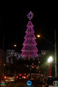 IMG_5333.jpg