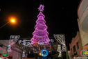 IMG_5335.jpg