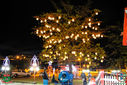 Filename=IMG_5550.jpg
Filesize=307KiB
Dimensions=790x527
Date added=Dec 02, 2016 IMG_5550.jpg