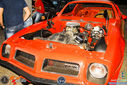 IMG_6520.jpg