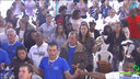 28-05-2016_SMArcanjo_144.jpg