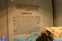 IMG_8379.jpg