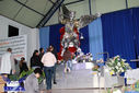 IMG_6871-Medium.jpg