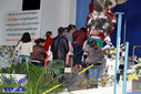 IMG_6884-Medium.jpg