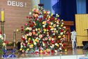 IMG_7205-Medium.jpg