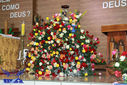 IMG_7207-Medium.jpg