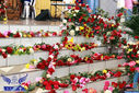 IMG_7358-Medium.jpg