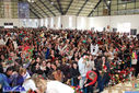 IMG_7385-Medium.jpg