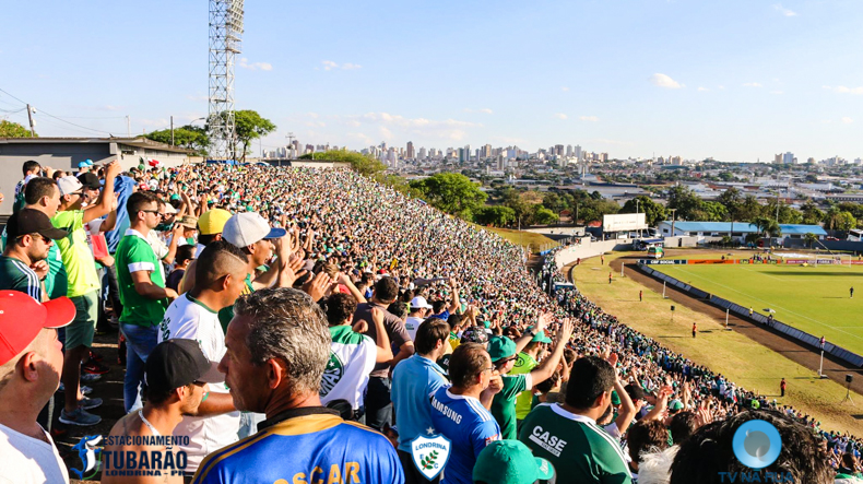08-10-2016_AmericaMGXPalmeiras_118.jpg