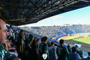 08-10-2016_AmericaMGXPalmeiras_051.jpg