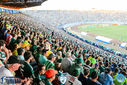 08-10-2016_AmericaMGXPalmeiras_196.jpg