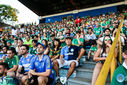 08-10-2016_AmericaMGXPalmeiras_205.jpg