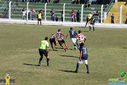 IMG_8655.jpg