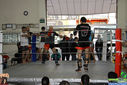 IMG_8257.jpg