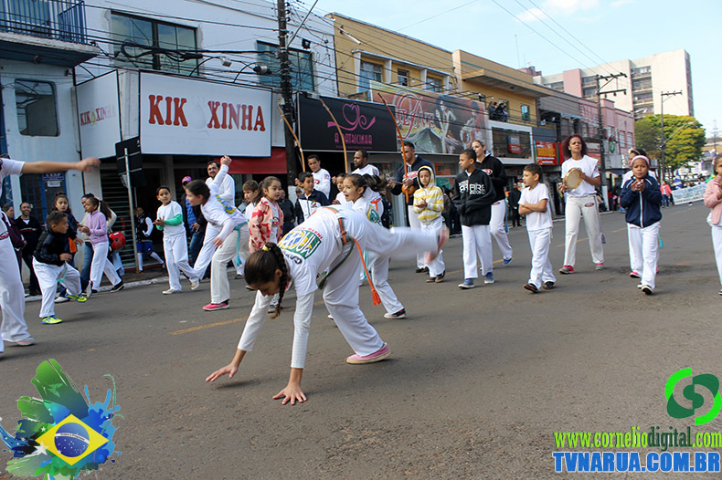 IMG_4917.jpg