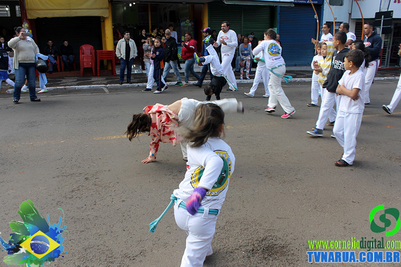 IMG_4922.jpg
