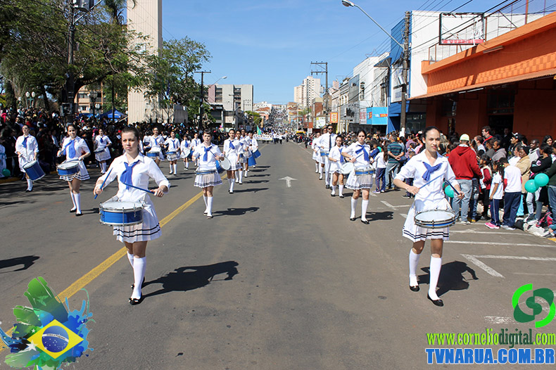 IMG_5366.jpg