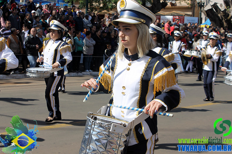 IMG_5386.jpg