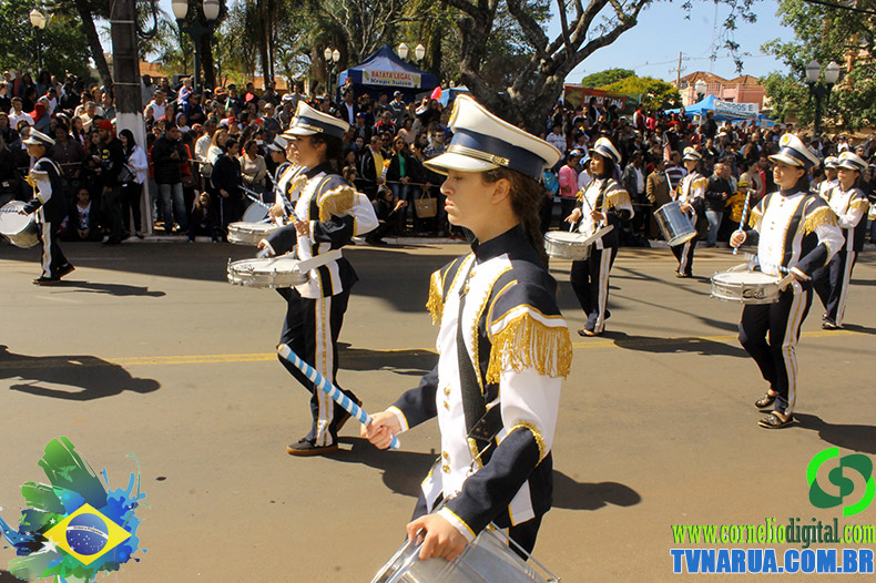 IMG_5389.jpg