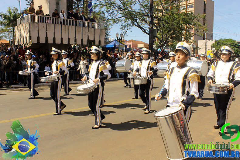 IMG_5452.jpg
