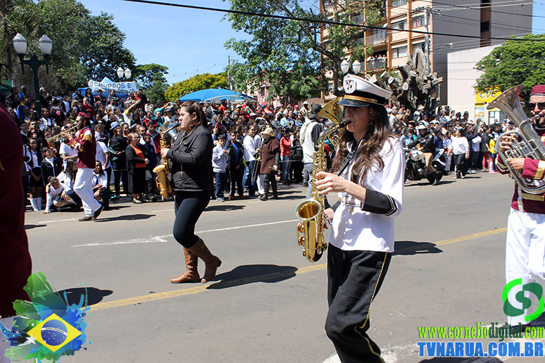 IMG_6367.jpg