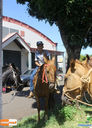 IMG_5953.jpg