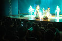 IMG_2636.jpg