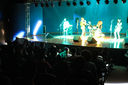 IMG_2639.jpg