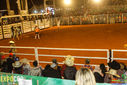 IMG_5894.jpg