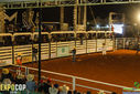 IMG_5908.jpg